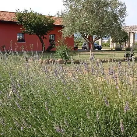 Bed & Breakfast Il Casale Di Giulia Di