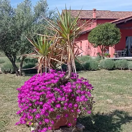 Il Casale Di Giulia Di Bed & Breakfast 2*