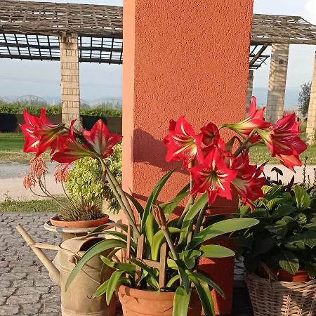 Bed & Breakfast Il Casale Di Giulia Di