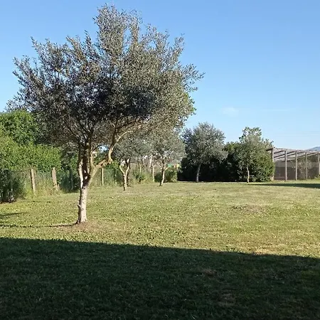 Il Casale Di Giulia Di Bed & Breakfast Aprilia